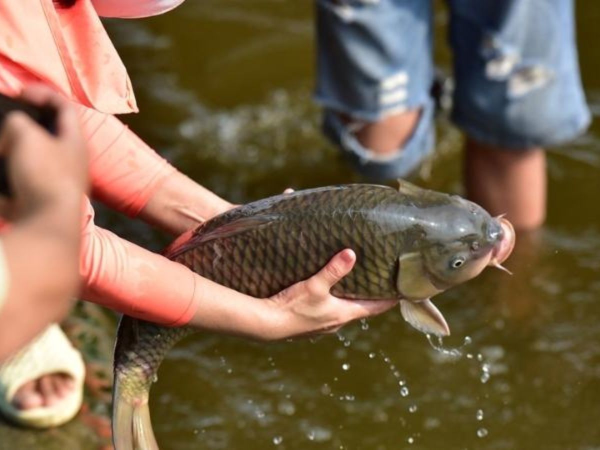 Nuôi dưỡng nội tâm an lành và tỉnh thức trong đời sống.