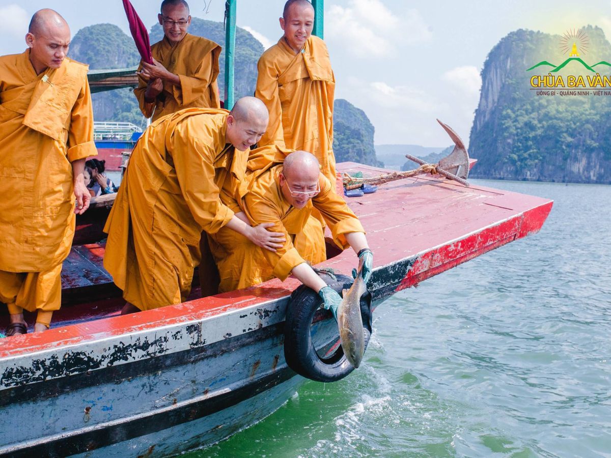 Gieo trồng thiện nghiệp và giảm bớt nghiệp sát.