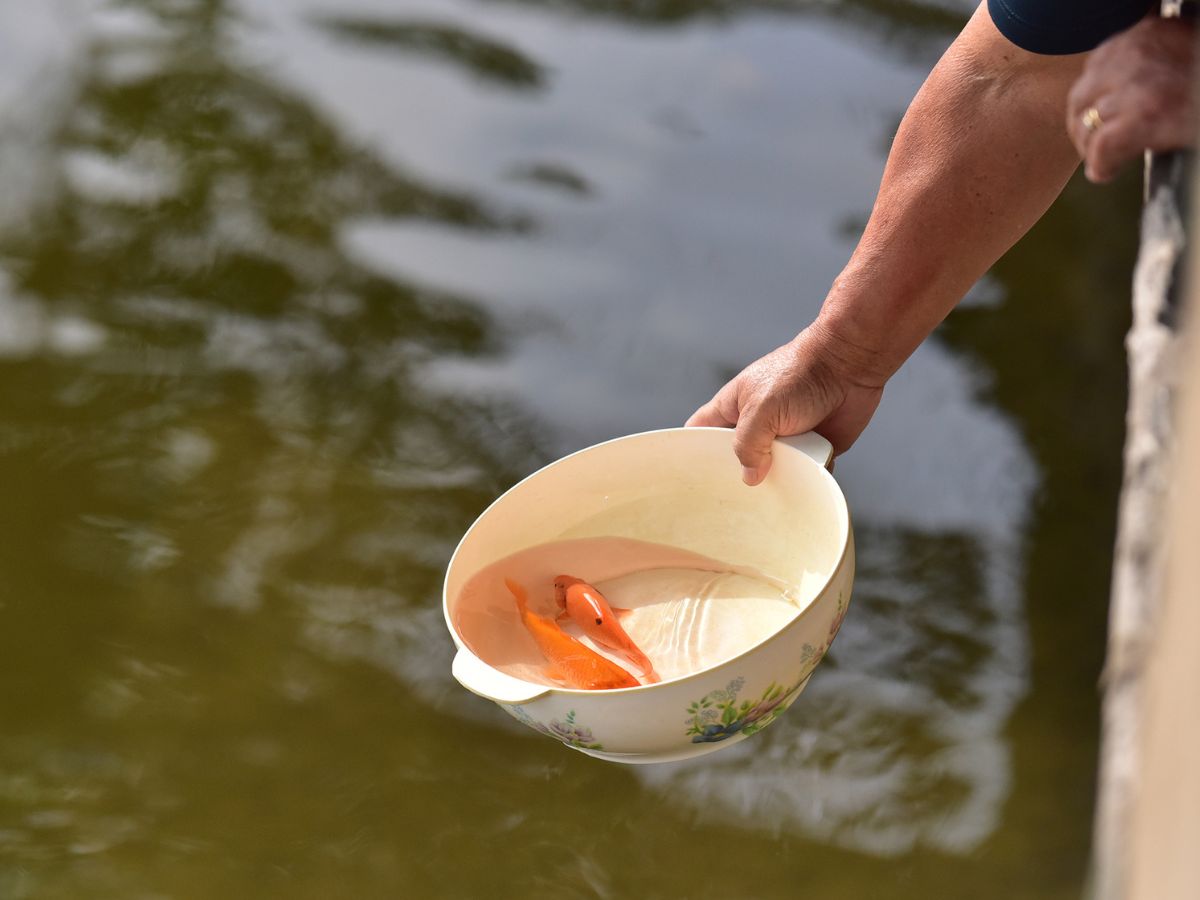 Đọc văn khấn với tâm thành kính để hồi hướng công đức.